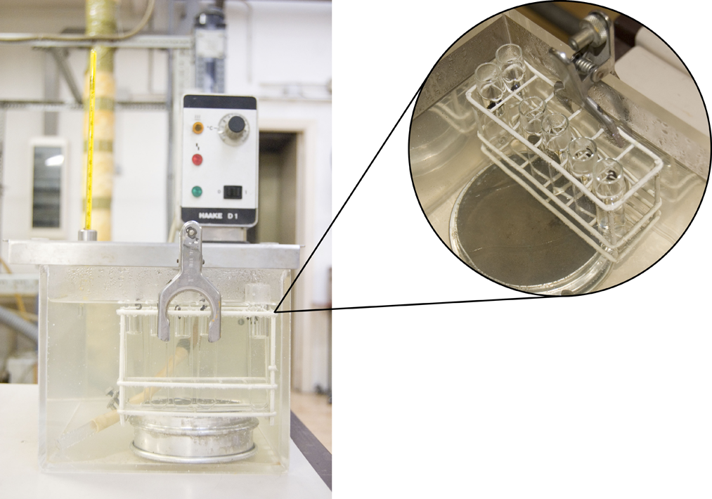 Reacción de isomerización de ácido maleico a ácido fumárico a 70 ºC