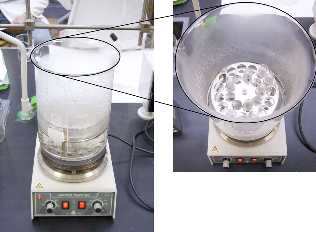 Reacción de isomerización de ácido maleico a ácido fumárico a 100 ºC