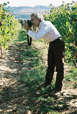 José Ramón Lisarrague