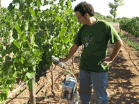 Rubén fotosíntesis